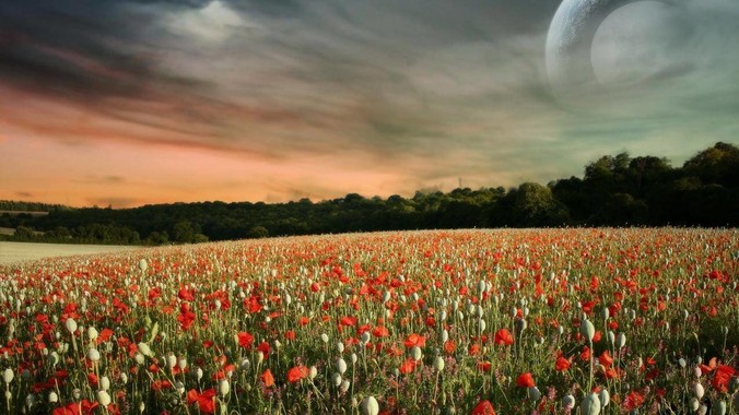 你在哪个瞬间突然喜欢上了某个历史人物?